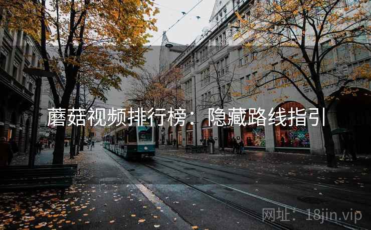 蘑菇视频排行榜：隐藏路线指引